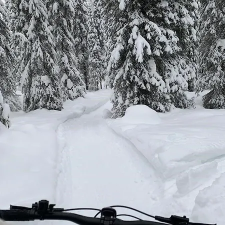 Salmikunnaan A 別荘 Syöte