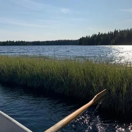 Salmikunnaan A